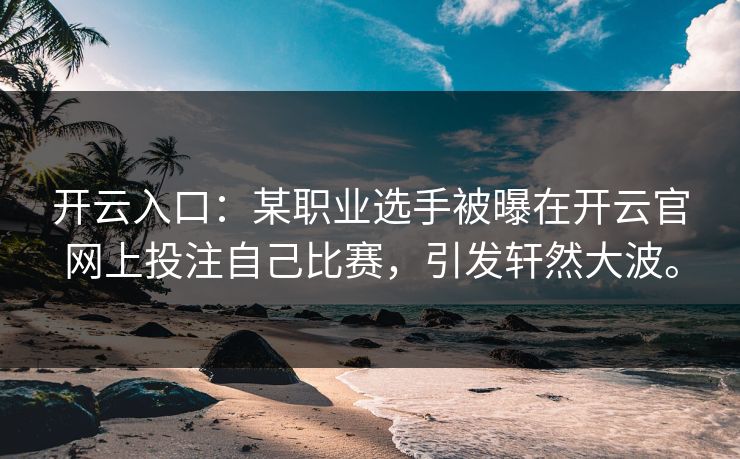 开云入口：某职业选手被曝在开云官网上投注自己比赛，引发轩然大波。