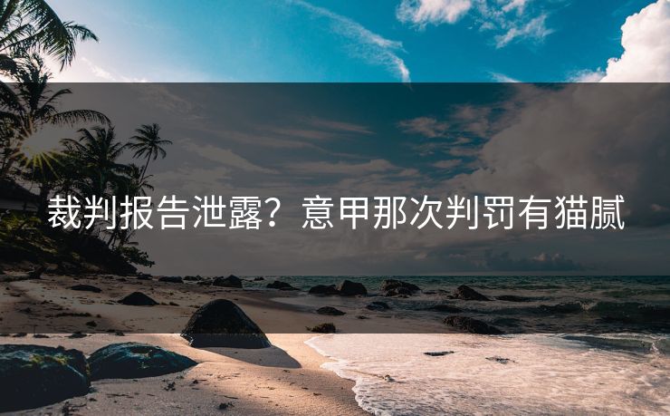 裁判报告泄露？意甲那次判罚有猫腻