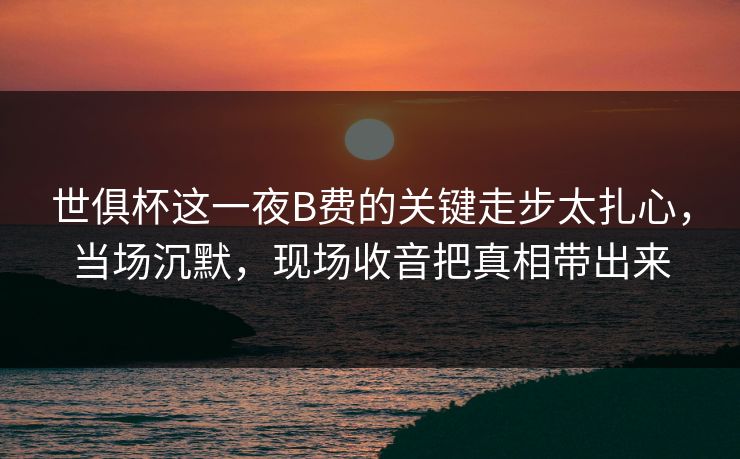 世俱杯这一夜B费的关键走步太扎心，当场沉默，现场收音把真相带出来